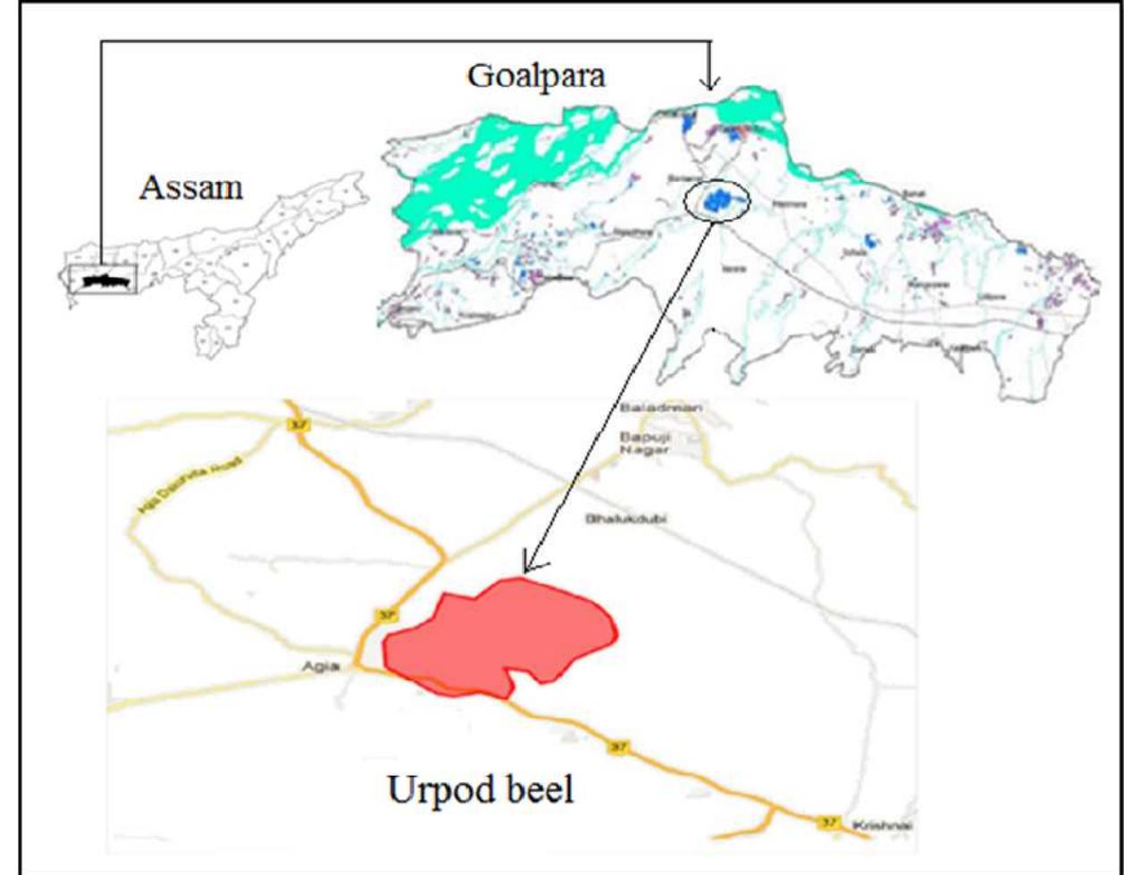 Map of urpod beel of goalpara district of assam. (source-