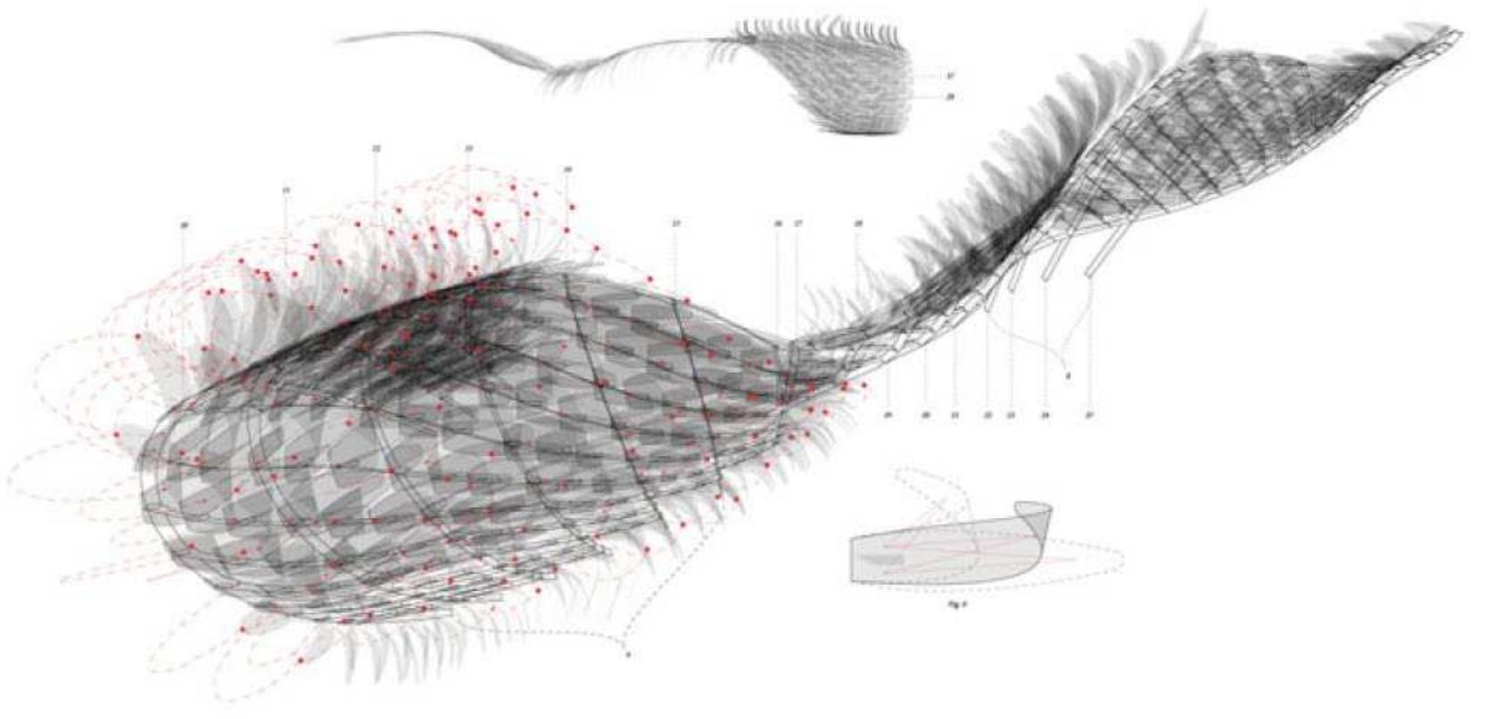 Modest Scale (3): an analysis of reef’s dynamic structure. courtesy rob