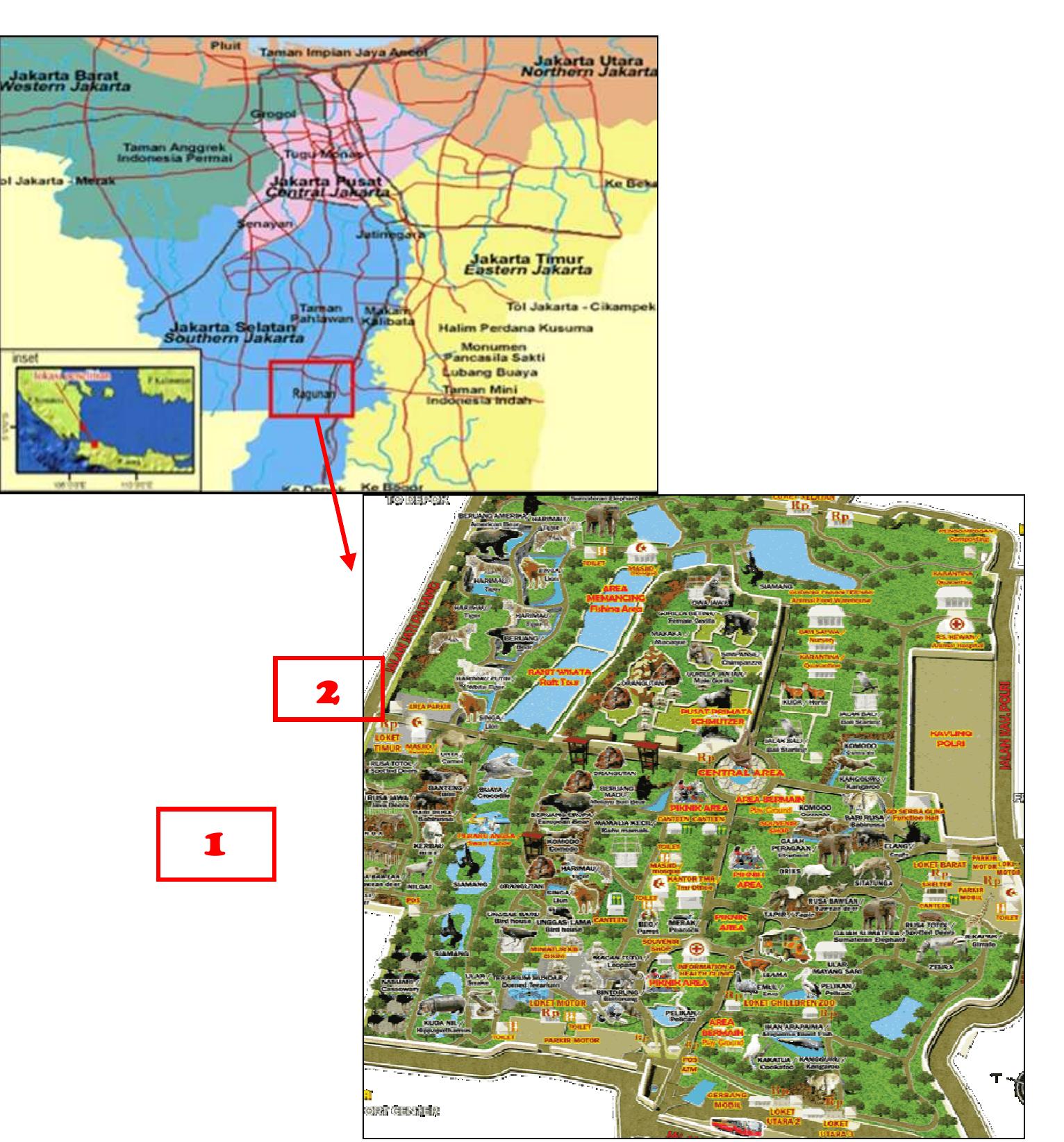 Map of the study site; 1. ragunan zoo (rz) cage; 2.