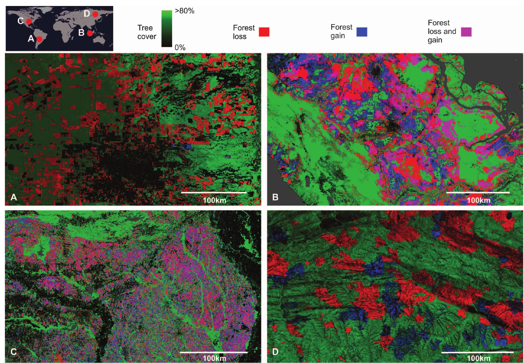 (PDF) High-Resolution Global Maps of 21st-Century Forest Cover Change