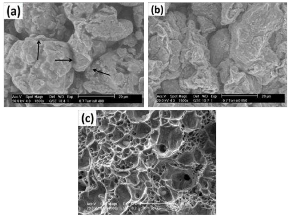 Figure 11: Fracture surface of the sintered specimens up to a) 400°C, b) 650°C and c) 900°C 
