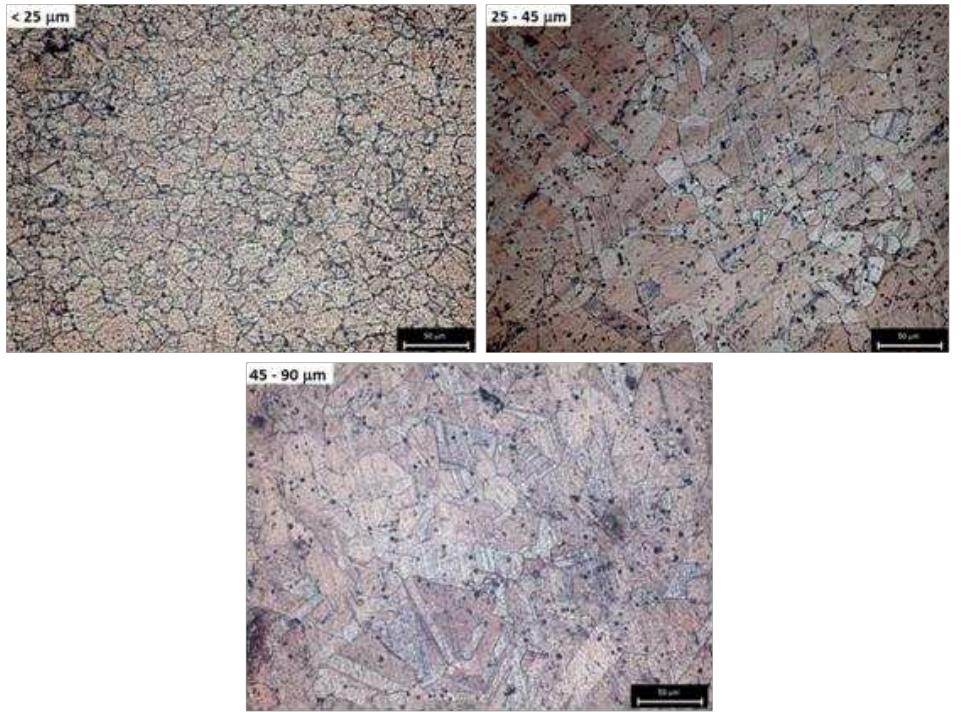 Figure 15: Microstructure of the sintered specimens applying only the initial pressure  is shown by the less dense material. The justification for this apparent contradiction 