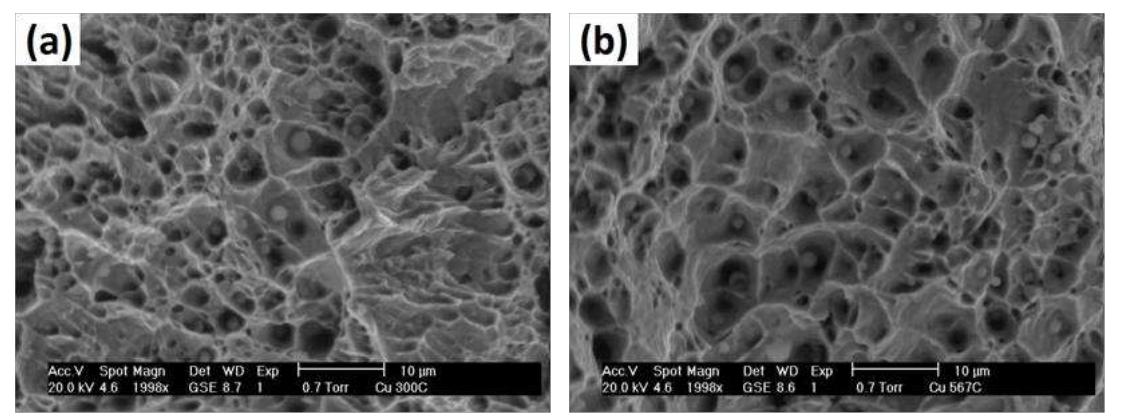 Figure 20: Fracture surface of the specimens sintered applying Py at (a) 300°C and (b) 567°C 