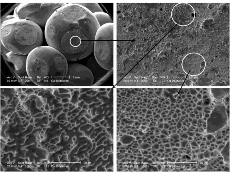 Figure 23: fracture surface of the specimen sintered at the nominal temperature of 900°C 