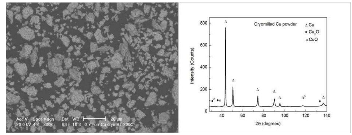 Figure 25: Morphology and XRD pattern of the cryomilled copper powder 
