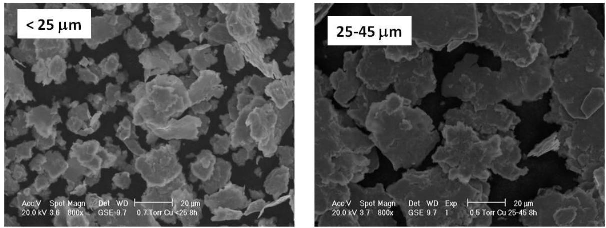 Figure 32: morphology of the cryomilled powder  final stage of milling.  insufficient milling time. It is well known in fact that particle size gets rounded in the  The particles which are shown in Figure 32, have a flake-like morphology, due to the 