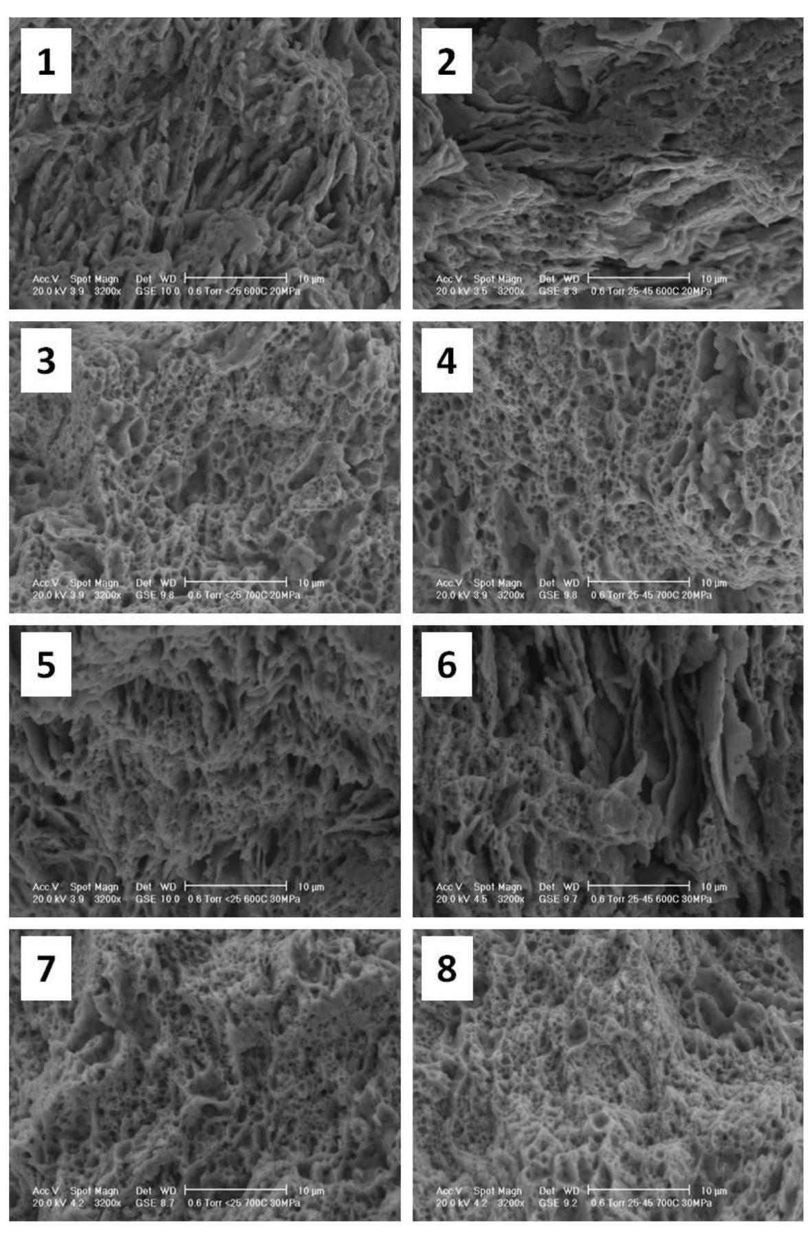 Figure 35: fracture surfaces of the sintered specimens (label refers to codes in tab. 