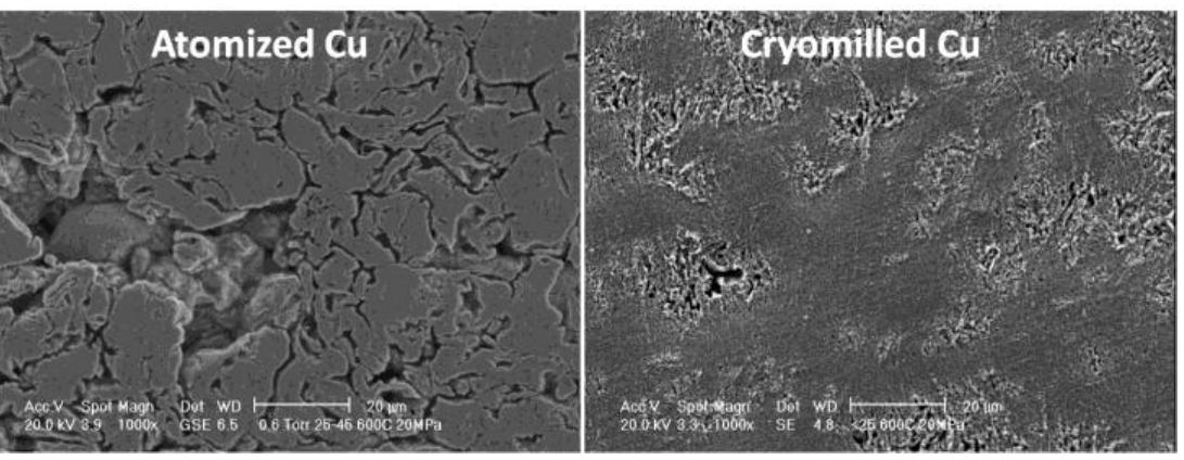 Figure 40: microstructure of the atomized and the cryomilled specimens sintered at 600°C. 