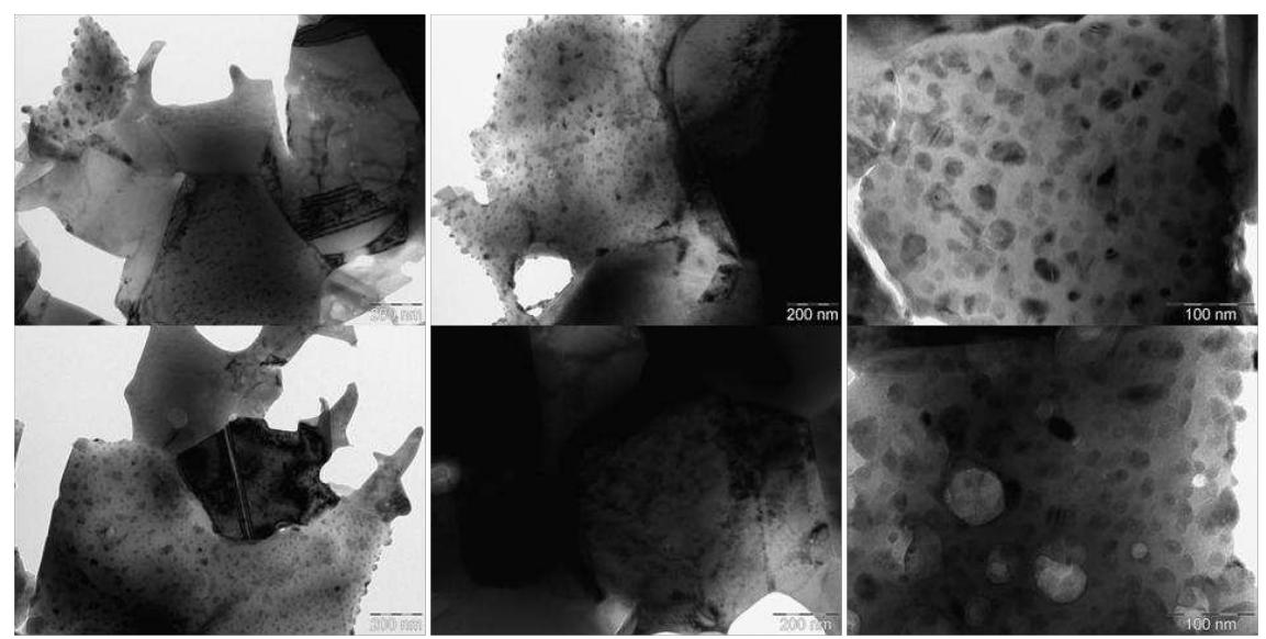 Figure 49: TEM images of the specimen obtained using a heating rate of 50°C/mi and a holding time of 2 min at 900°C 