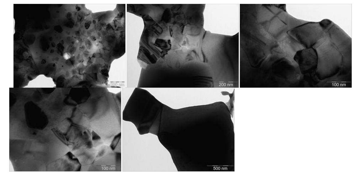 Figure 51: TEM images of the specimen obtained using a heating rate of 150°C/min and a 2 min holding time at 900°C 