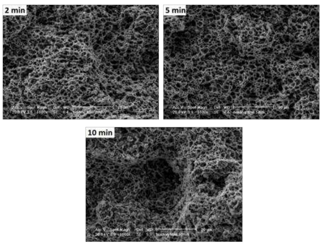 Figura 56: Fracture surface of the three specimens sintered at 50°C/min and at < haldinn tima nf 9 BF and 1N min at ANNE  They show a dimpled morphology and several rounded particles within dimples, 