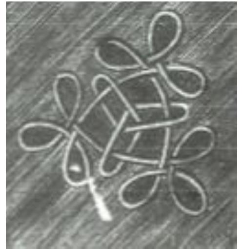 Figure 18 - A Mathematical Analysis of Knotting and Linking