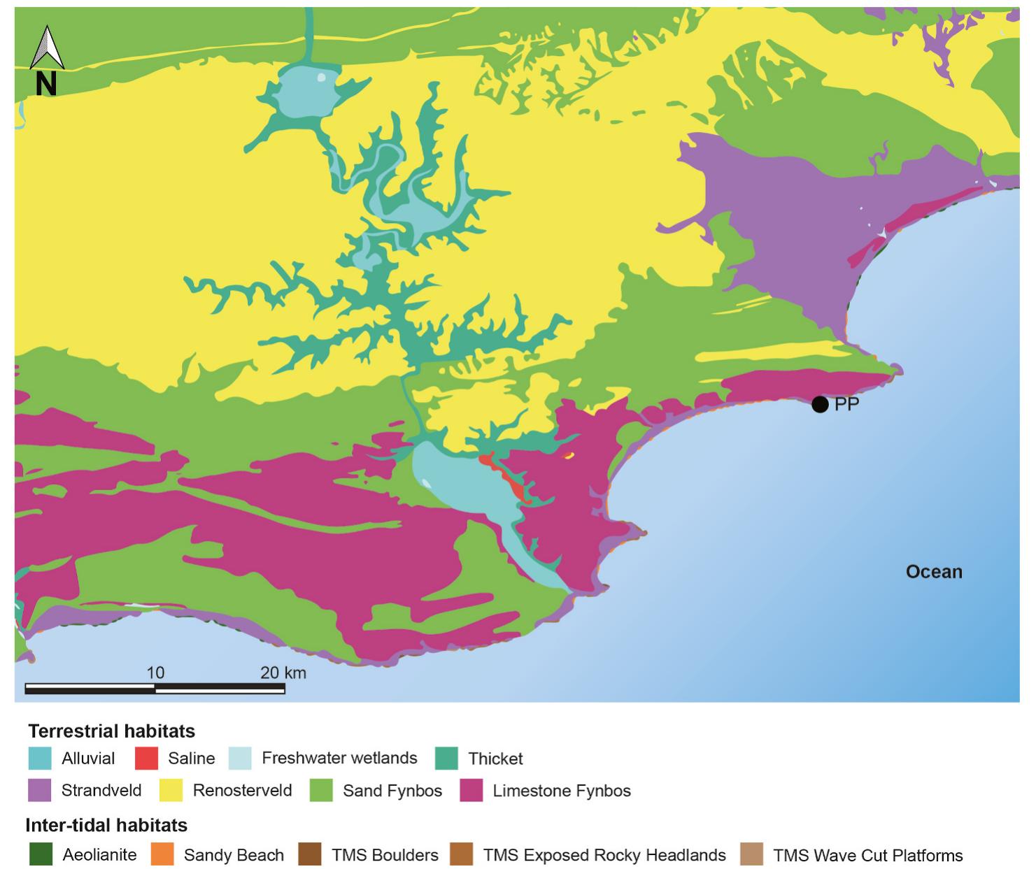 Schematic map of the habitat distribution used for the