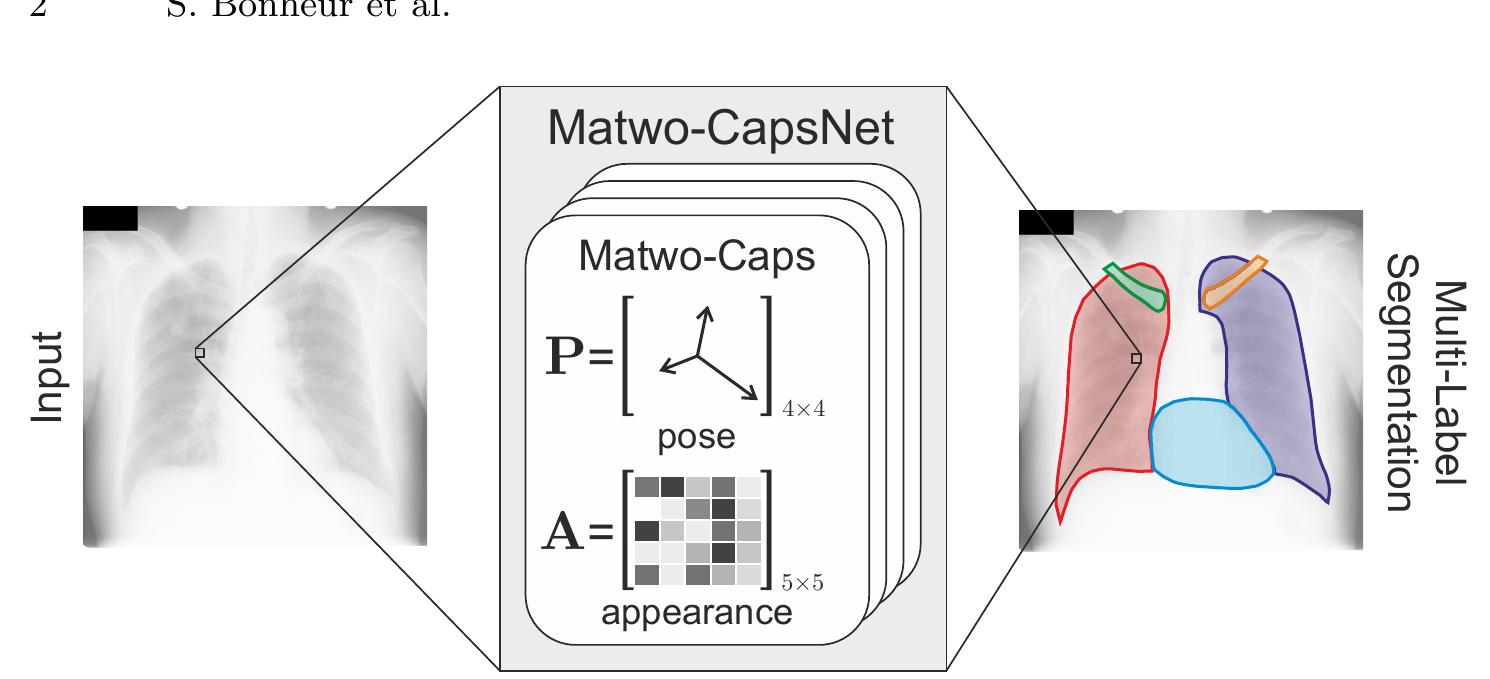 (PDF) Matwo-CapsNet: A Multi-label Semantic Segmentation Capsules Network