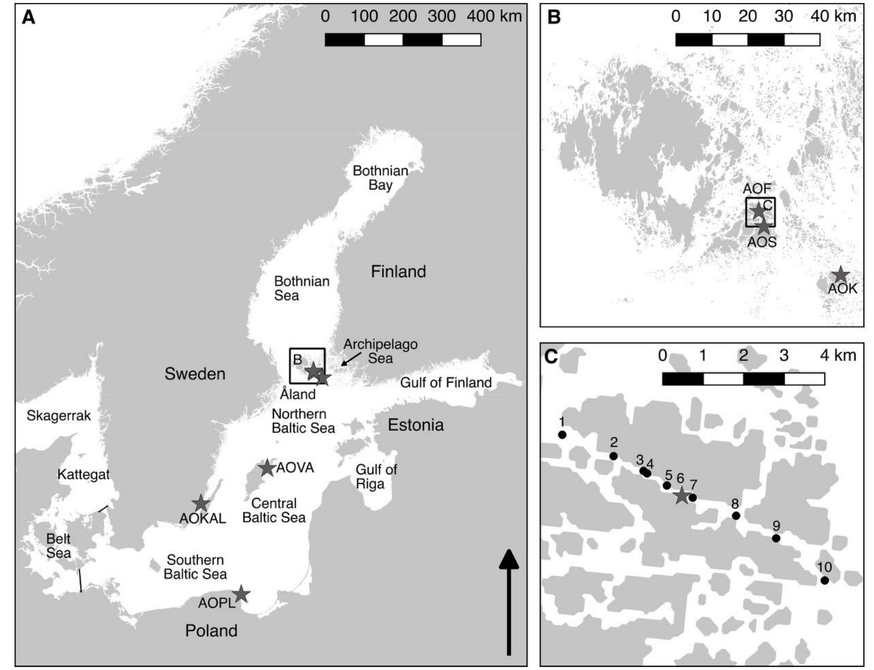 A) map of the baltic sea, showing different sea areas and