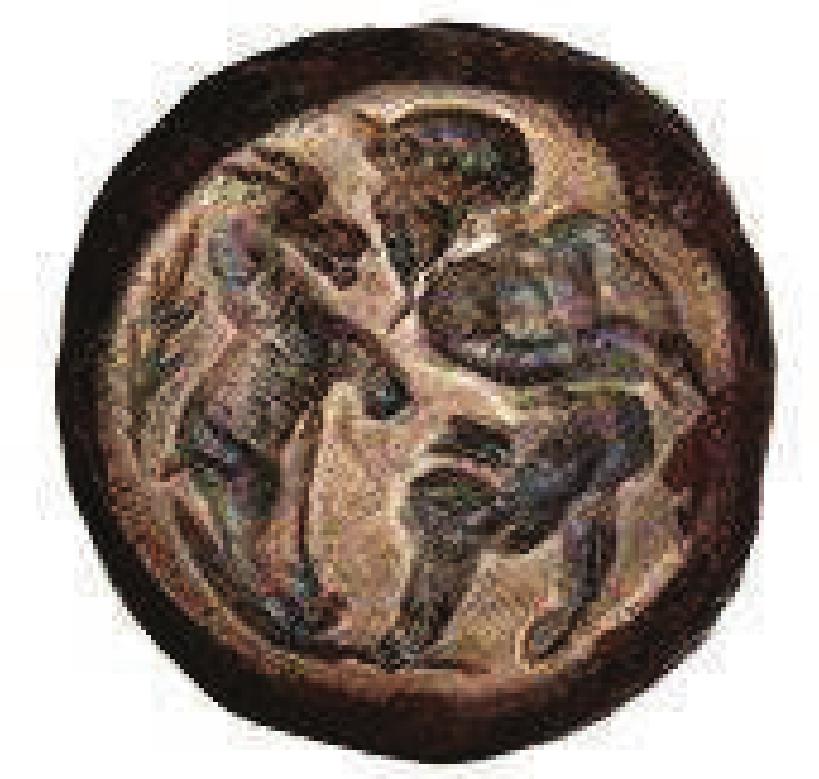 Fig. 4 Ring from Grada&nica (photo: Documentation of the National Museum Leskovac). 