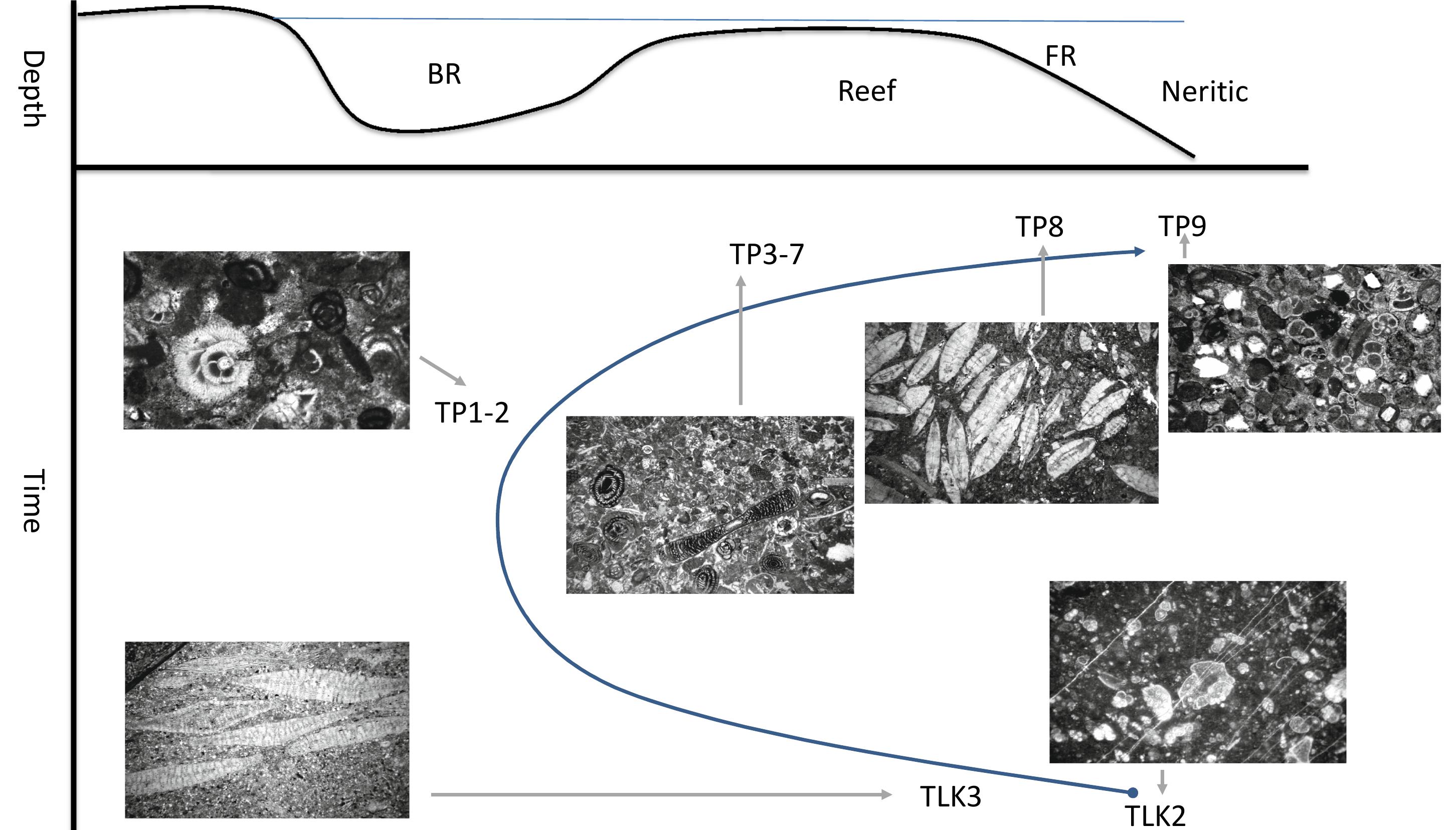 Figure 16 - from Late Cretaceous to early Paleogene