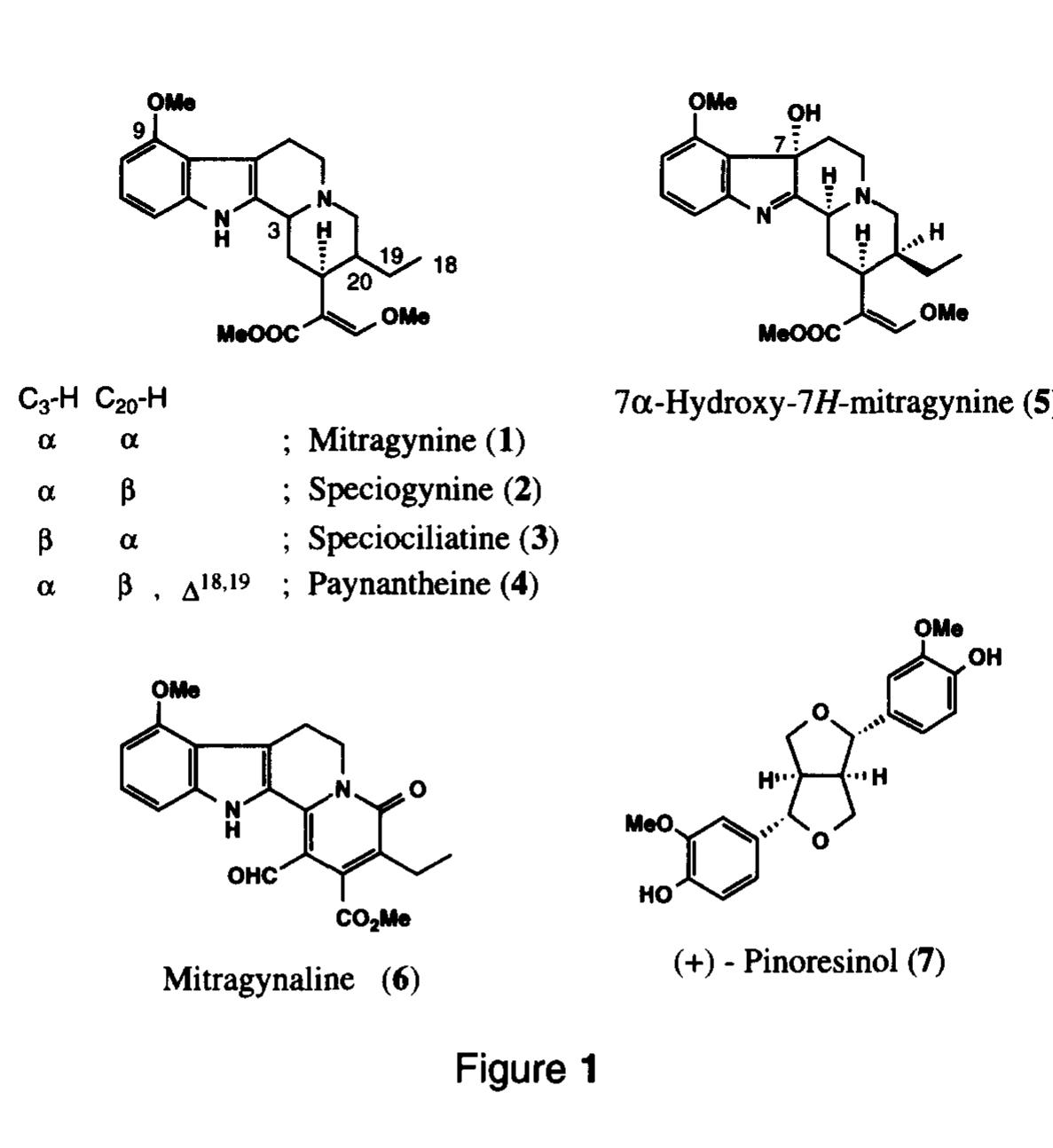 Figure 1 - from New indole alkaloids from the leaves of