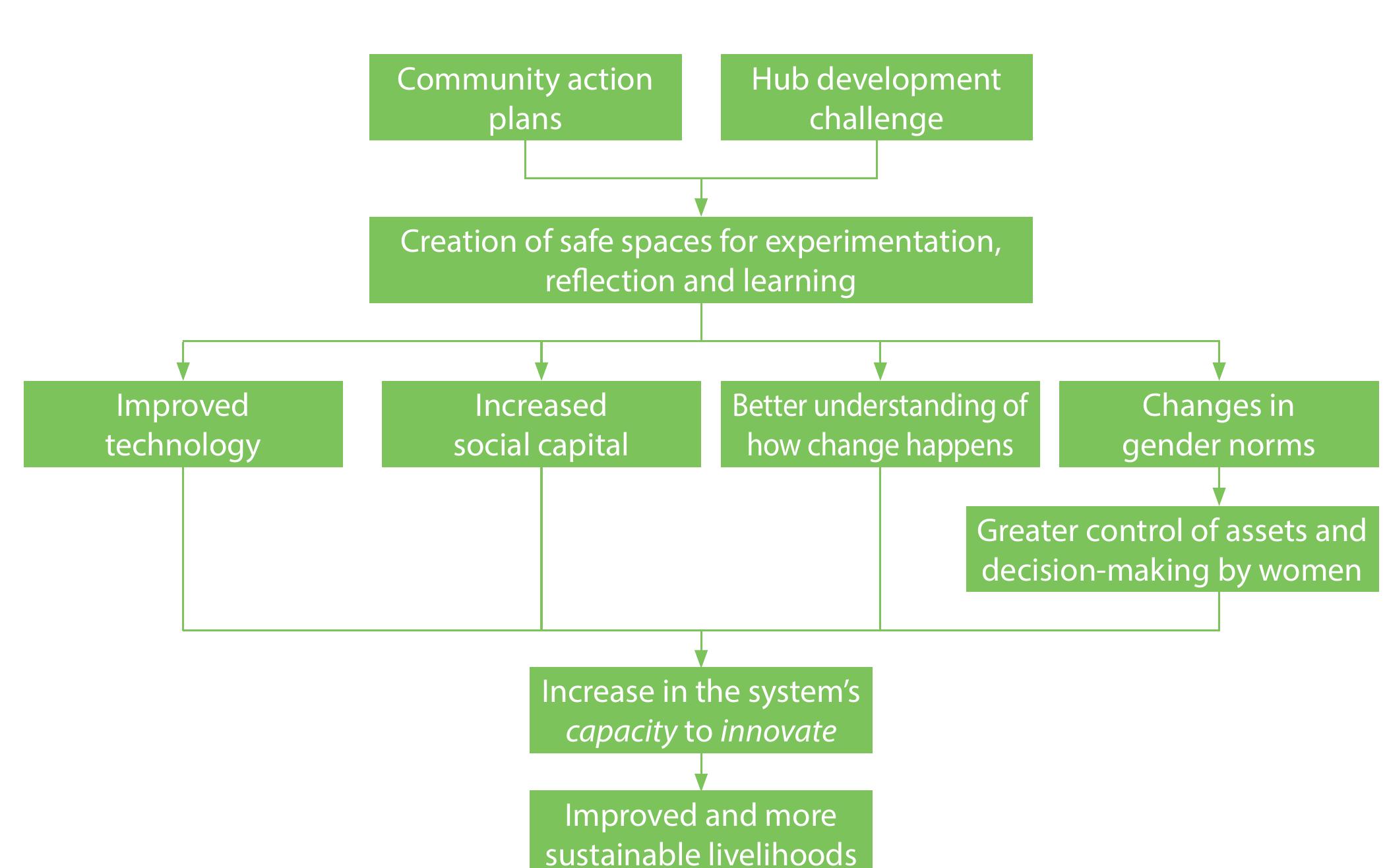 Visualizes the theory of change of the rind approach. it is