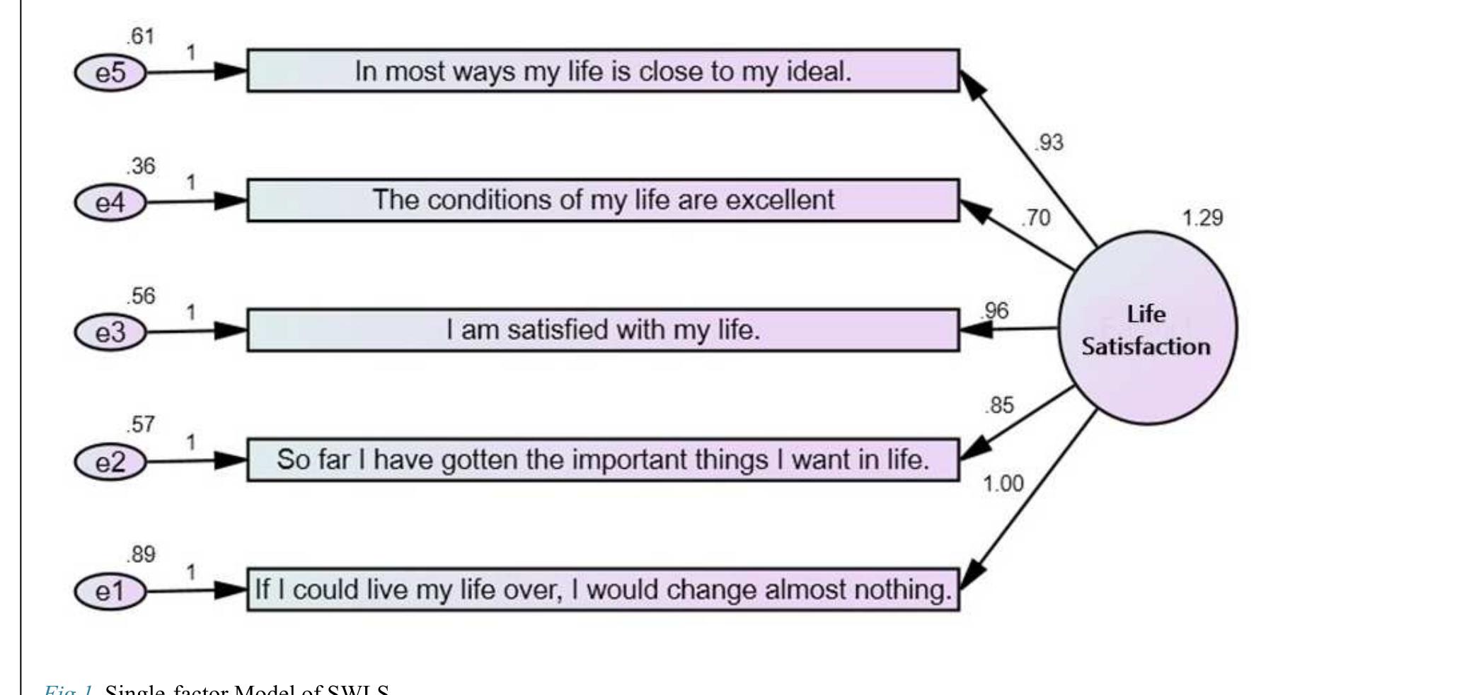 (PDF) The satisfaction with life scale: Psychometric properties in ...