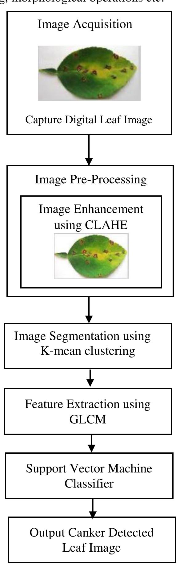 Figure 2 - from An Efficient Citrus Canker Detection Method