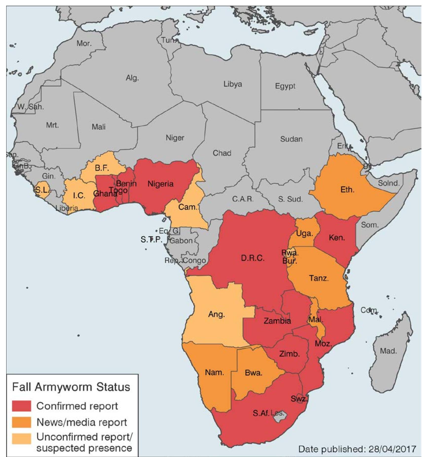 Figure 4 - Fall Armyworm: Impacts and Implications for