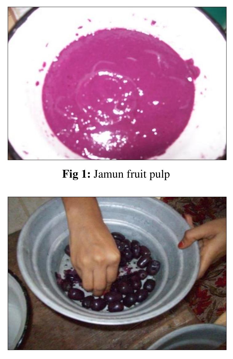 Figure 2 - Post-harvest value addition of Syzygium cumini L.