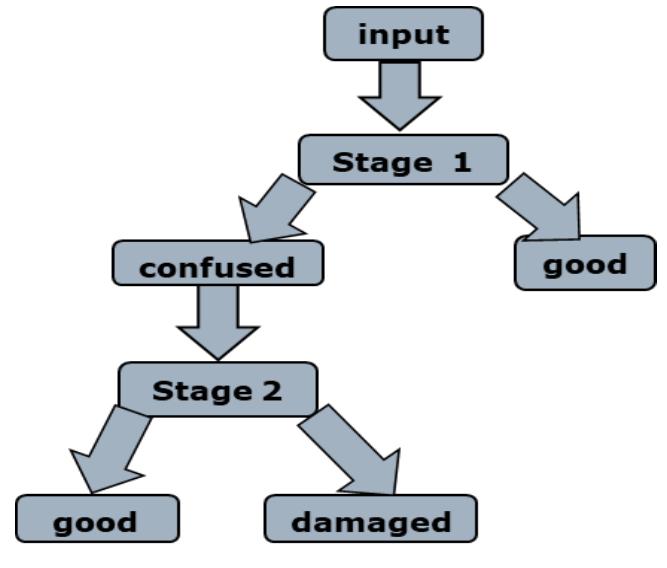 Flow process of experiment shown how does the classification