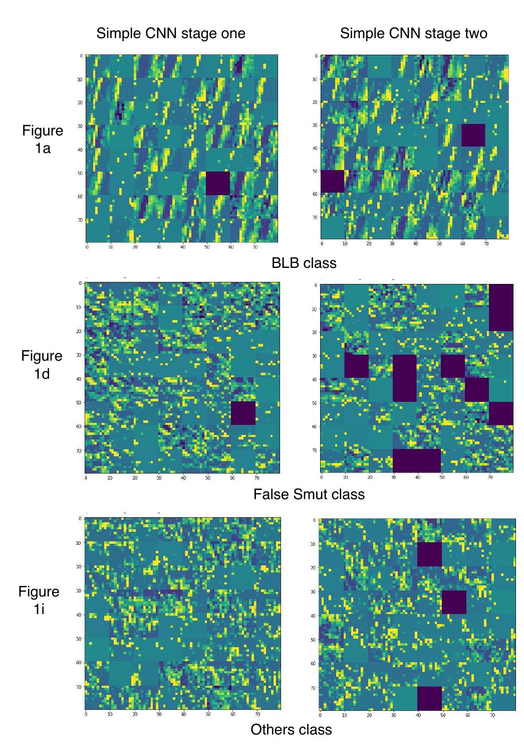 Last convolution layer output of simple cnn