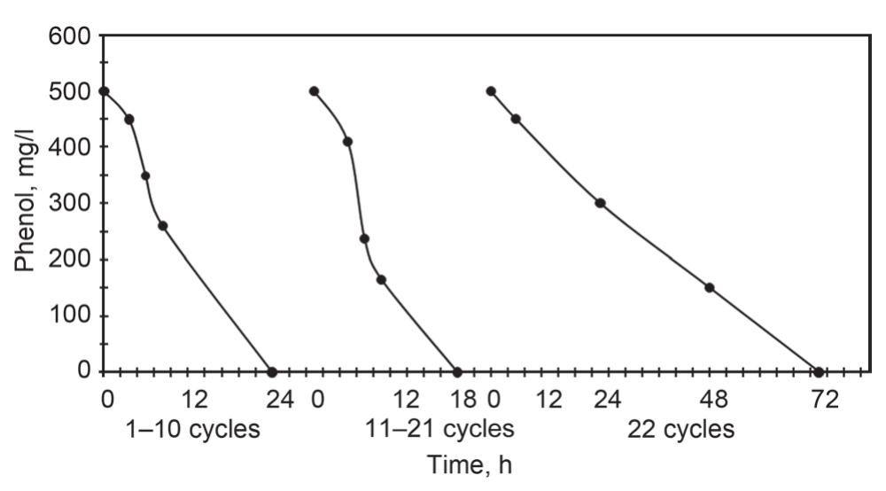 Figure 4 - Simultaneous Biodegradation of Phenol and