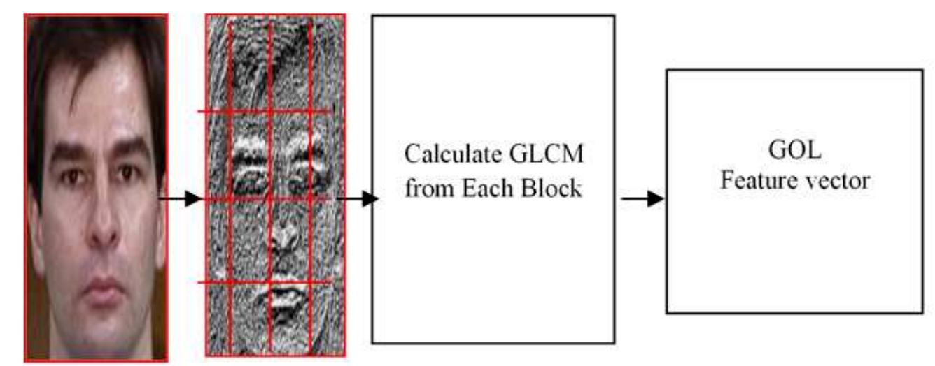 (PDF) Texture based FACE recognition using GLCM and LBP schemes