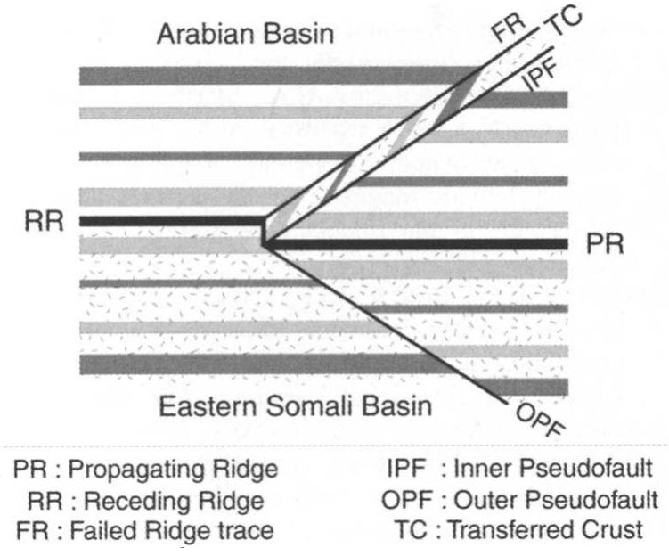Schematic diagram showing the main tectonic features