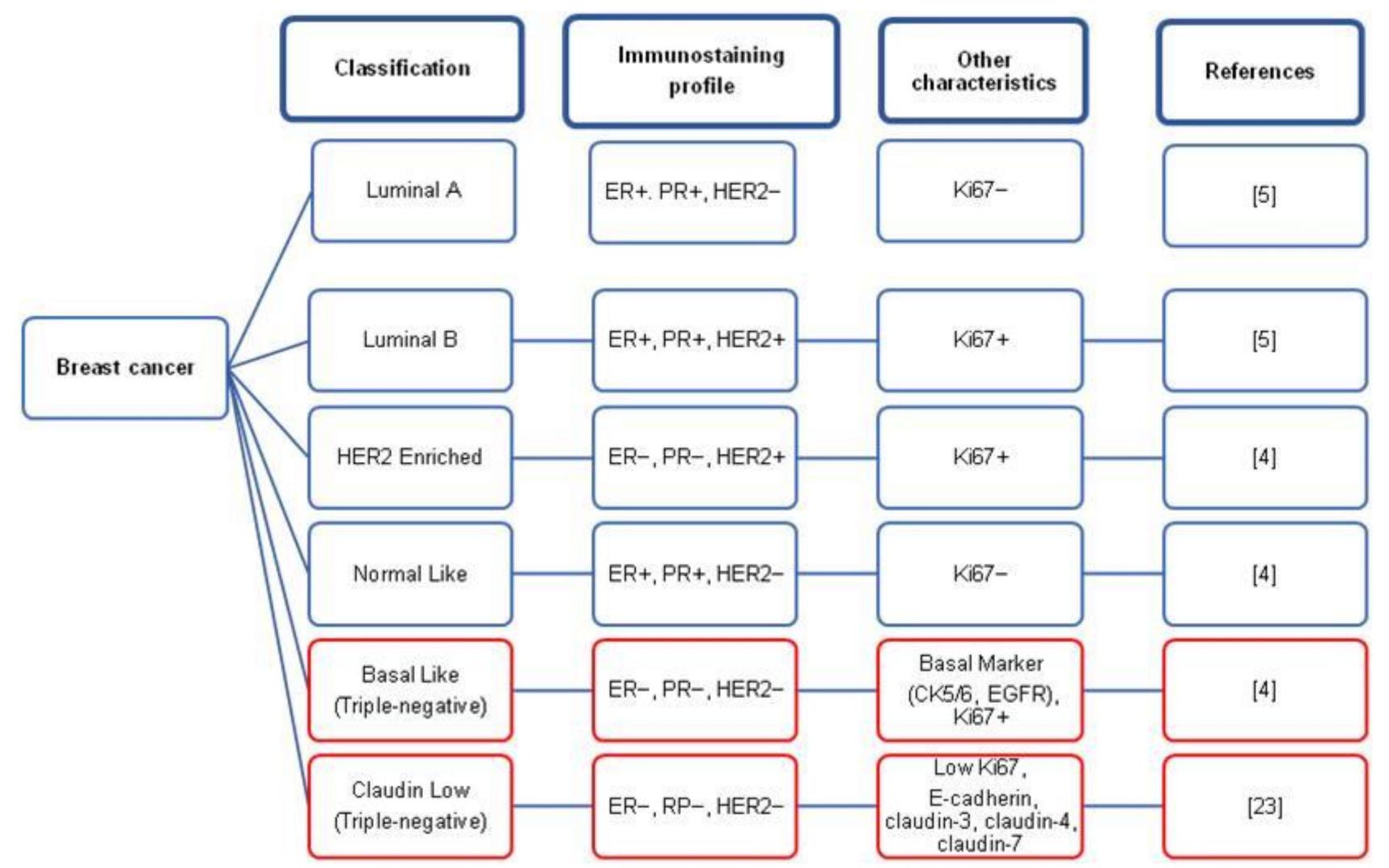 (PDF) Triple Negative Breast Cancer: A Review of Present and Future ...