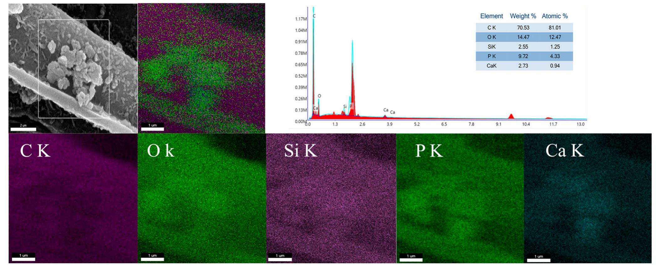 Service Spectrum Adf (a) ftir spectra of adf, nd-adf (one step) and nd-adf(two