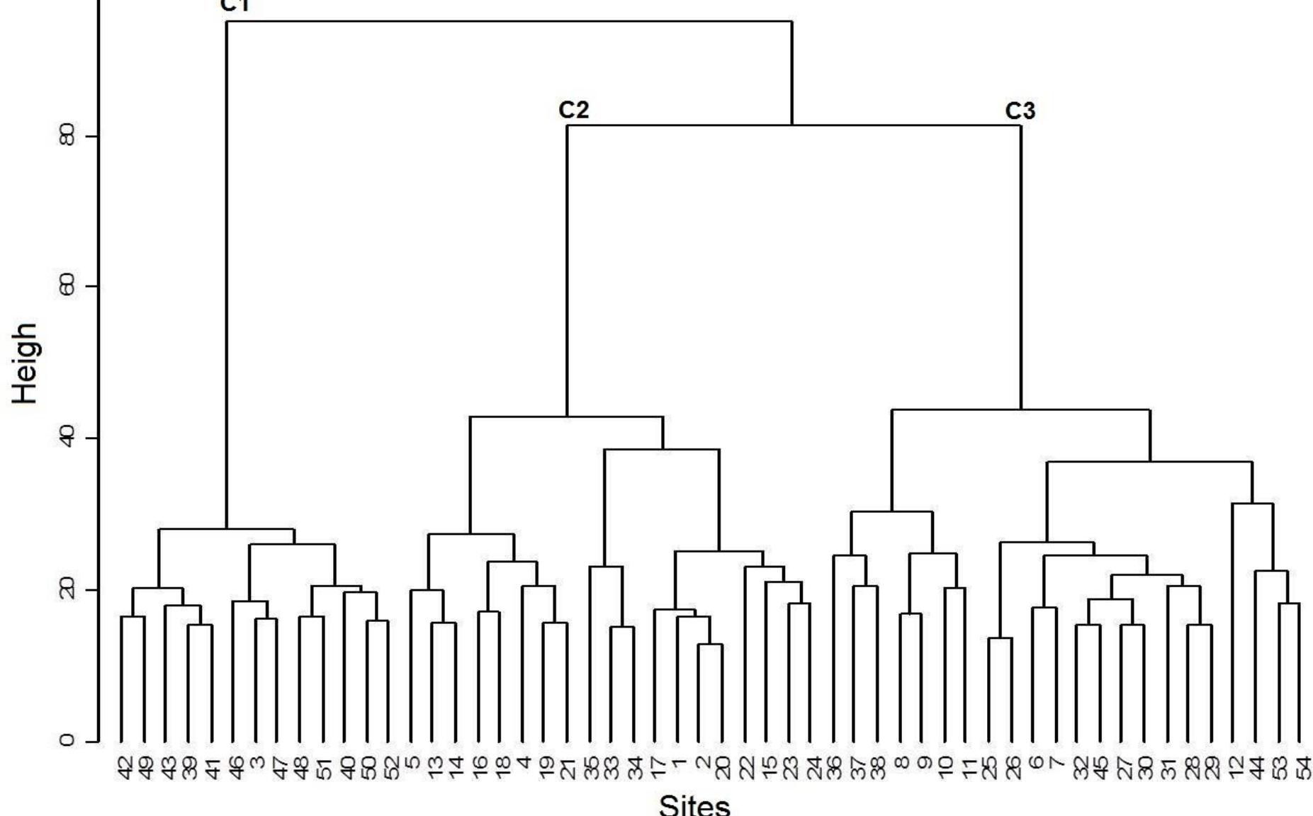 Dendrogram showing the plant community types of the study