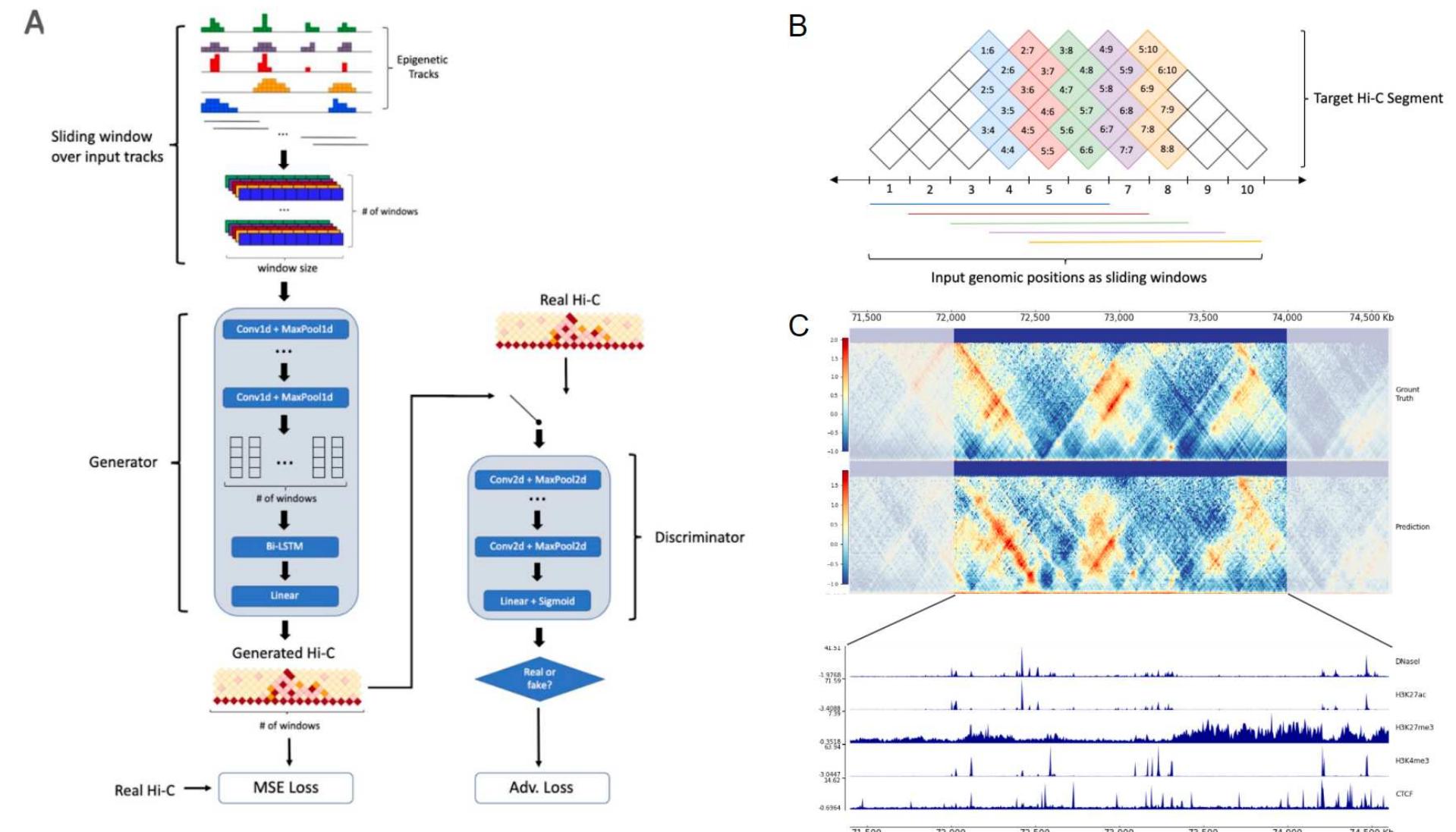 Model architecture and prediction scheme. (a) model