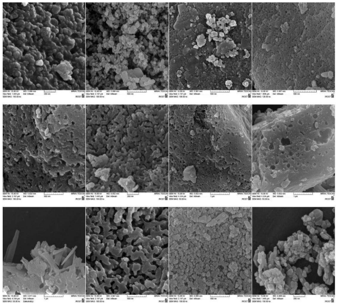 Scanning electron microscopy (sem) micrograph of sol.