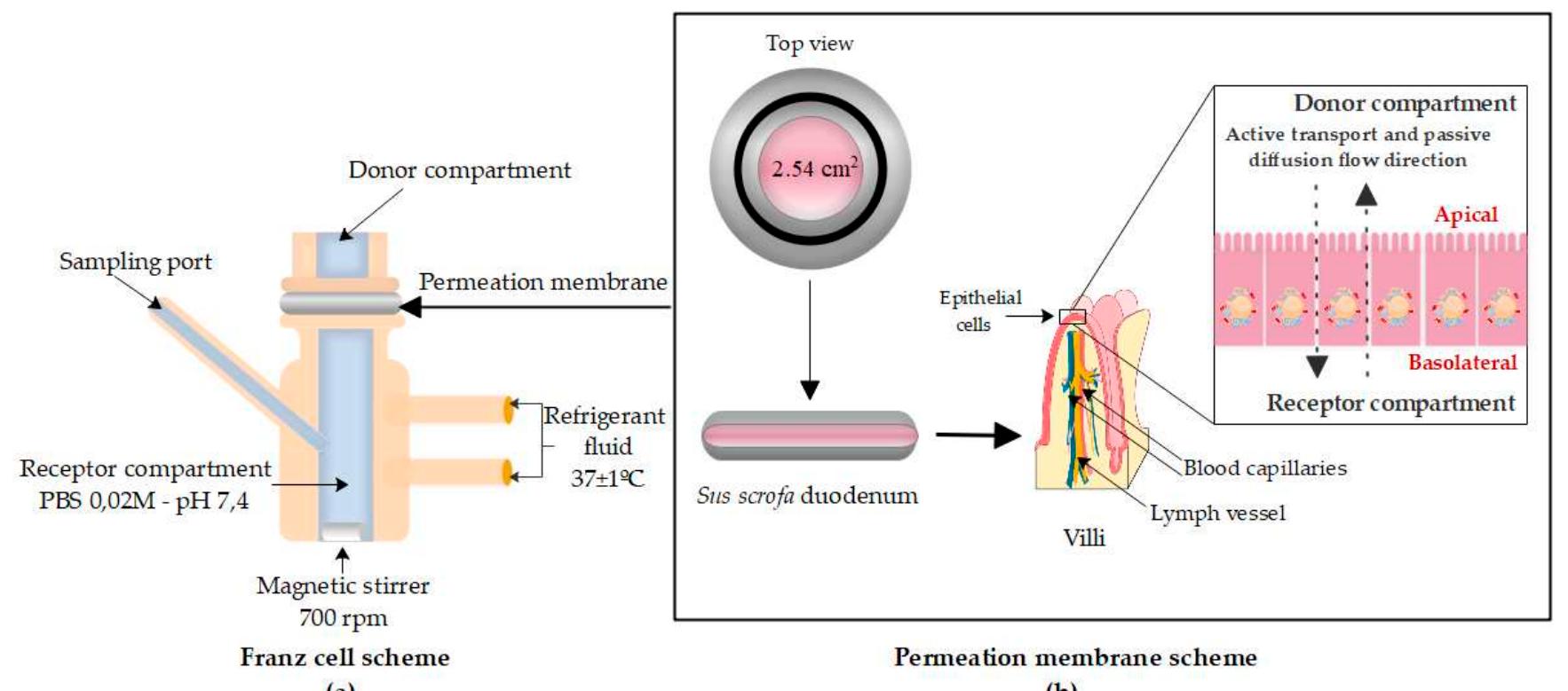 Figure 1 - from Validation of an Ex Vivo Permeation Method