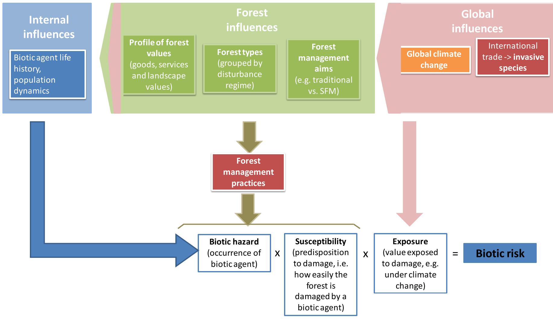 enhancing other goods such as non-wood goods, ecosystem services, and values.  between hazard likelihood, susceptibility, and exposure (Kron 2002). Any change in one of these factors will lead to a corresponding change in risk level. In addition, the effects of different forest factors, such as forest types, management traditions, and values, as well as global influences such as climate change and globalised trade need to be considered to cope with biotic disturbances (Figure 1-1). Forest management practices to reach given management goals impact stand composition, structure, and vitality, and consequently affect biotic hazard and the susceptibility of forests to damaging agents. These practices may also include those that aim at enhancing other goods such as non-wood goods, ecosystem services, and values.  The different components of biotic risk are difficult to gage. Biotic hazard is much more difficul to characterise than abiotic hazard. Biotic hazard is mainly influenced by the characteristics o the biotic agent. But the sheer diversity of agents of biotic disturbances, comprising pathogens fungi, insect and mammals translates in a diversity of life histories that make generalisation: difficult. Many insects are favoured by warm and dry conditions (Speight and Wainhouse 1989) but fungi favour more moist conditions (Coakley et al. 1999). Low winter temperatures may reduce insect survival rates (Leather et al. 1993), but may on the other hand be favourable for the synchronisation of life cycles with host plant species (Buse and Good 1996). Overall, biotic hazarc depends on the dispersion capacity of the agent, it survival and reproduction conditions, and or biotic interactions (whether negative control by natural enemies, or positive control by mutualism). Clearly thus, biotic hazard will differ between native and alien species, which have not evolved with the native communities and may bring new functions to the forest ecosystem. 