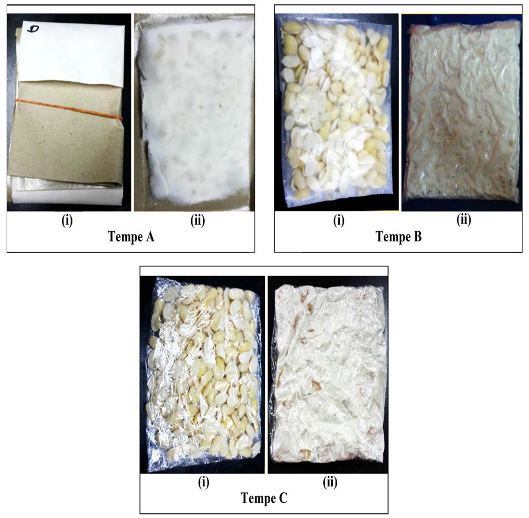 Changes in yeast and mould count of tempe samples during