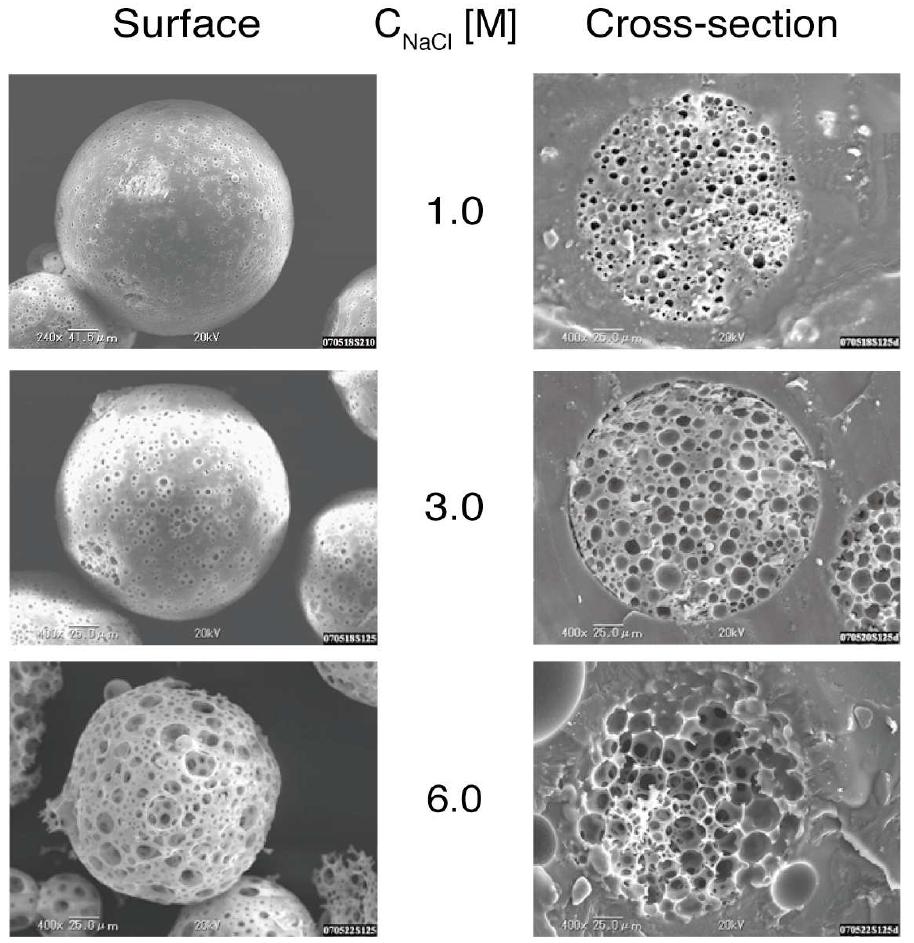 Sem images of microcapsules prepared with various sodium