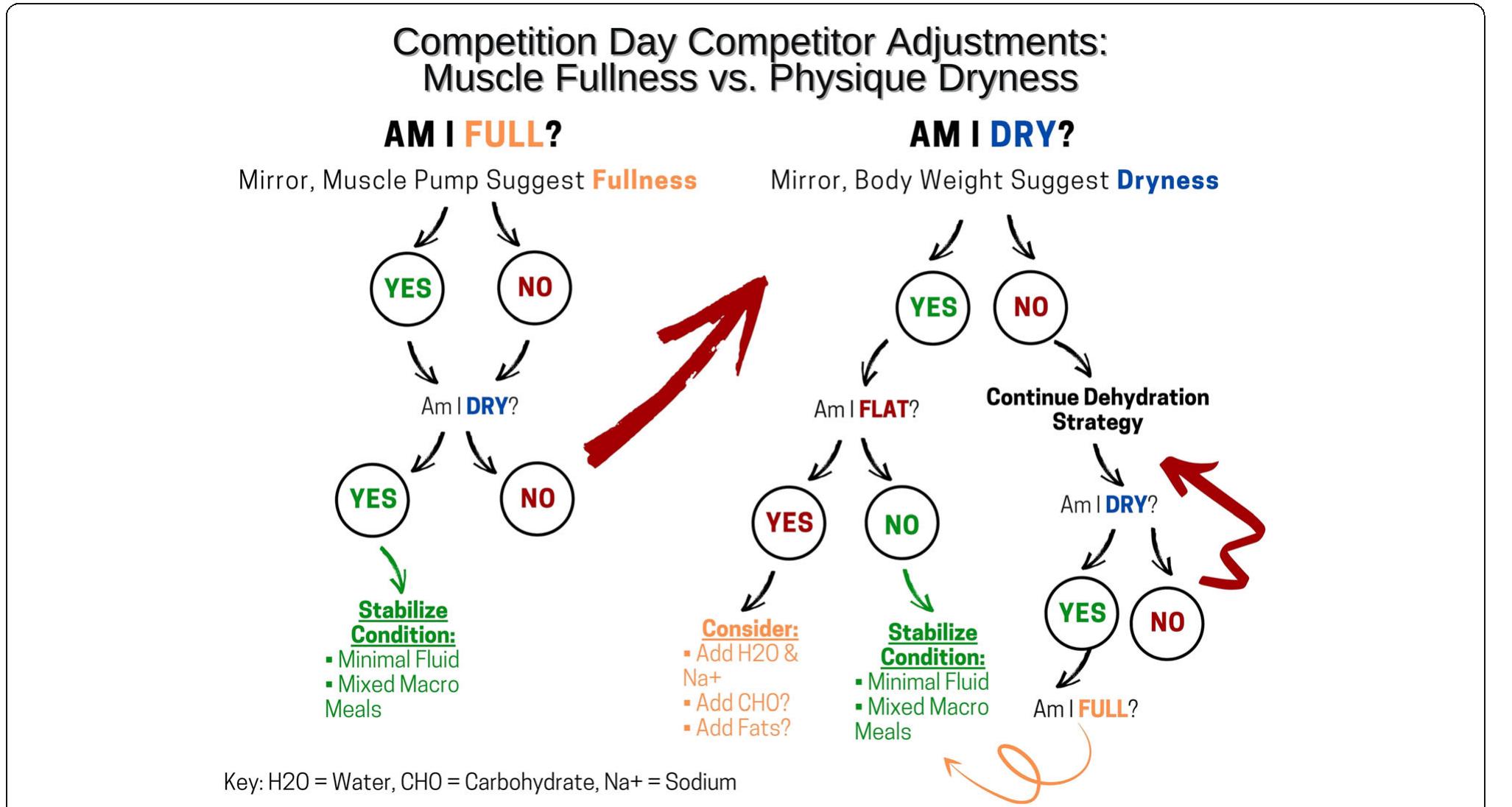 Decision making tree for bodybuilding competition day