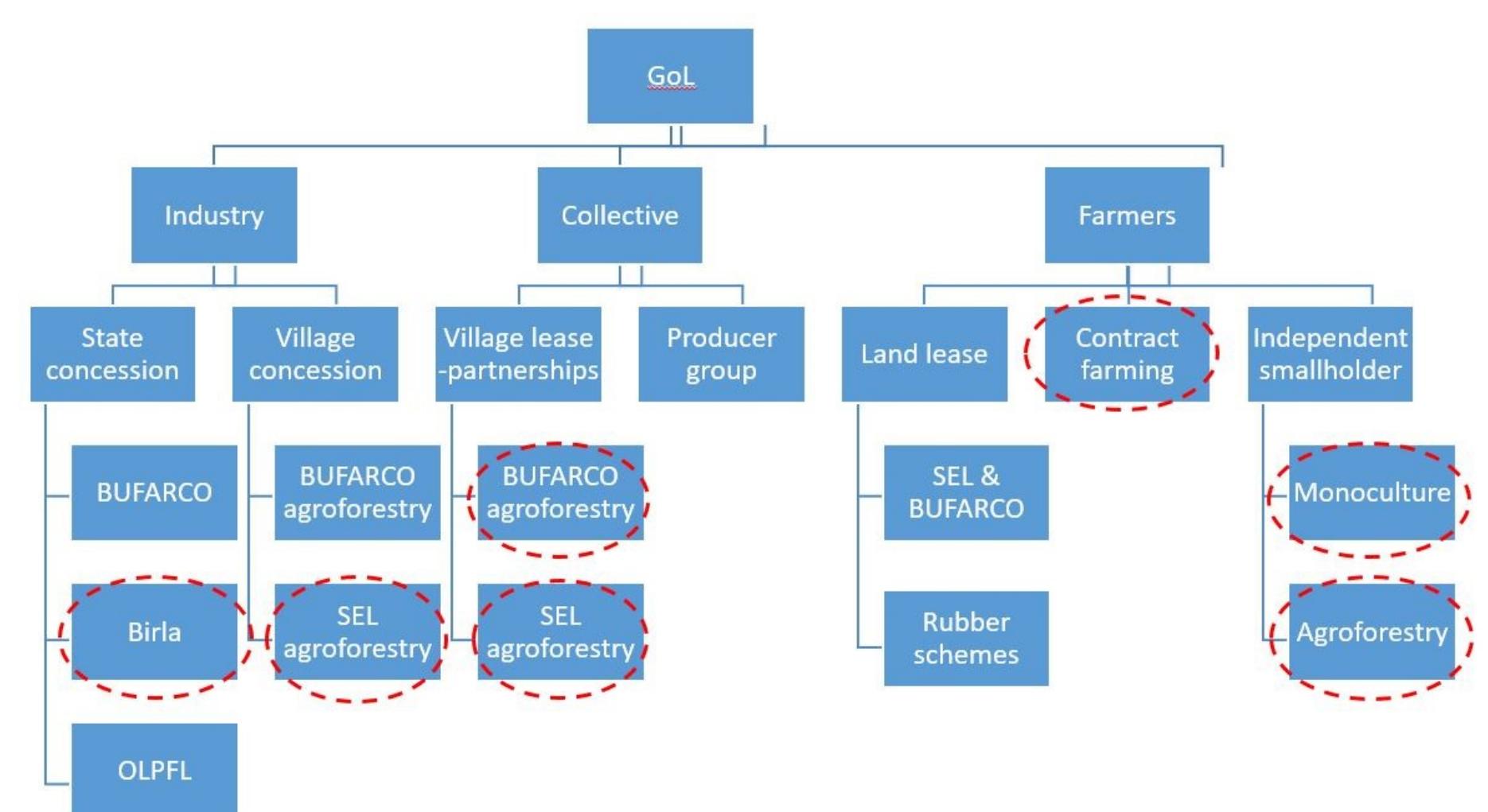 Different tree plantation models implemented in laos based