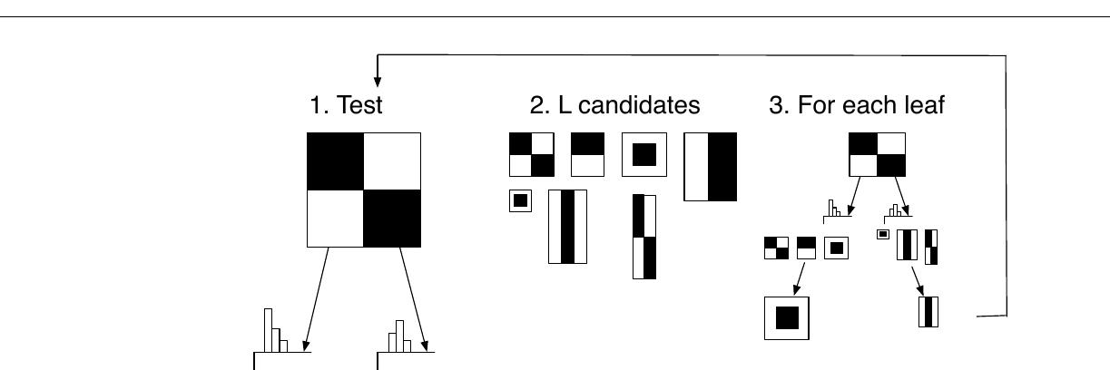 Fig. 2 Schematic representation of the training method for face recognition. 