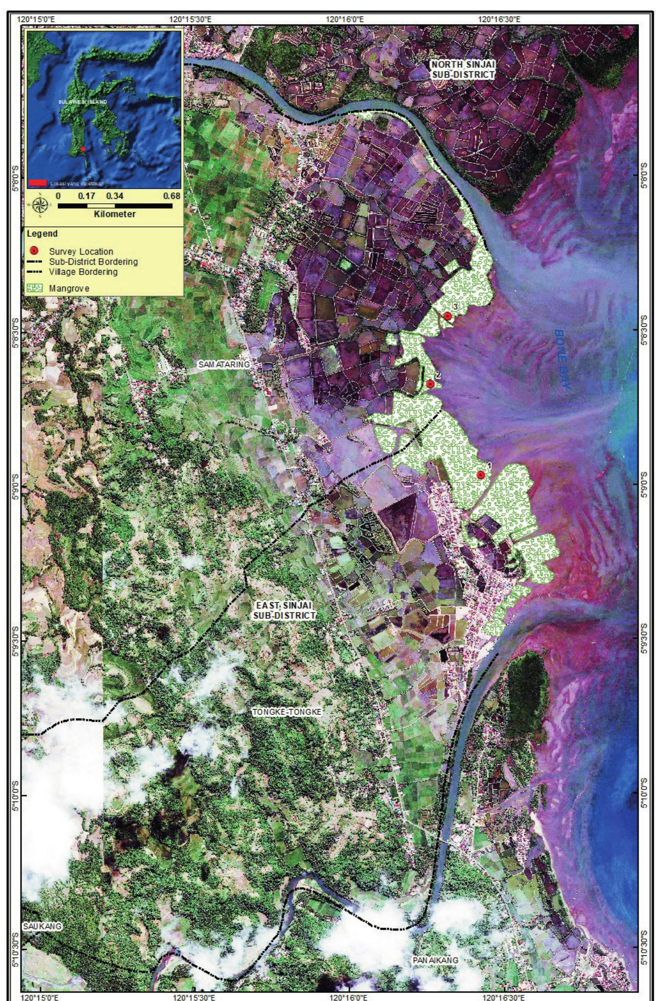 (PDF) Biomass Carbon Stocks In The Mangrove Rehabilitated Area Of ...
