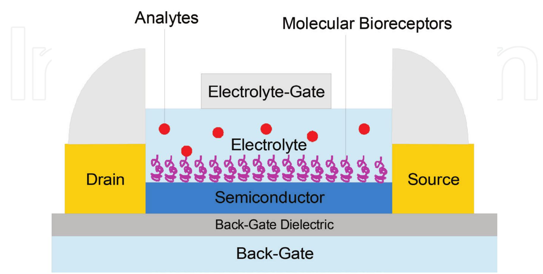 Schematic structure of field-effect transistor-based