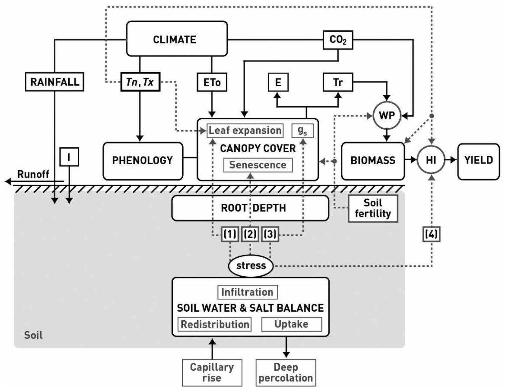Figure 2. Functional relationships between AquaCrop model components (Steduto et al. 2008).  In addition to these two core functions, four components have been incorporated into the model: a soil component to estimate the soil water balance; a crop component to model development, growth and yield processes; a climate component to establish the thermal regime, evaporative demand, rainfall and CO) concentrations; and a management component which explicitly considers the effect of management options on the soil water balance including the effects of fertiliser, water conservation methods (e.g. mulching, soil bunds) and forage cuttings on plant  mulching, soil bunds) and forage cuttings on plant  The climate component requires daily input values of minimum/maximum air temperature or growing degree days (GDD), rainfall and E7). Similar to CropWat, daily observations of ET, can be entered directly into the model or they can be calculated via the Penman-Monteith method. Alternatively, where daily data are insufficient, decadal or monthly averages of ET) and other meteorological variables can be provided and downscaled to a daily time step by using methods described by Gommes (1983). AquaCrop also requires mean annual concentrations of atmospheric CO). Default values derived from the Mauna Loa Observatory in Hawaii (1902-—present) have been included in the model, although site-spe- cific and forecast datasets from climate models can be 