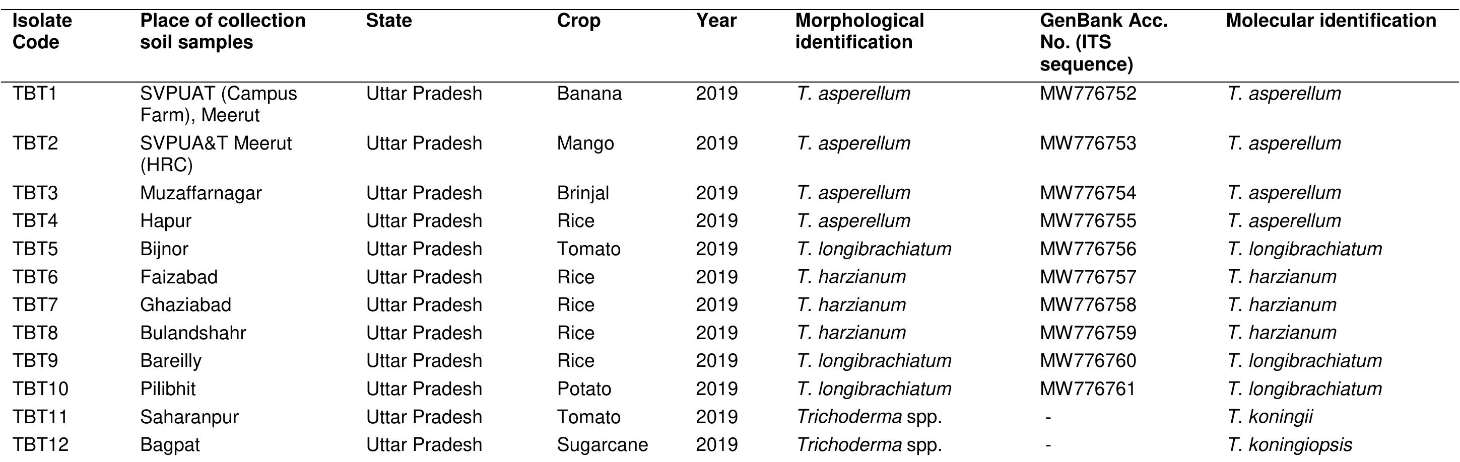 (PDF) Morphological and Molecular Characterization of Trichoderma spp ...
