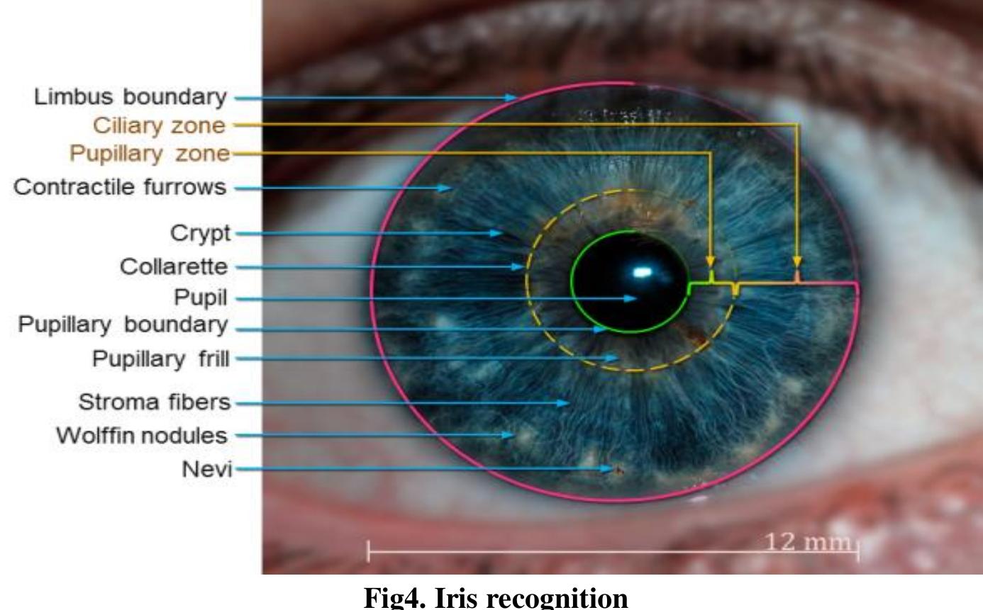 (PDF) A Review on Biometric Technology