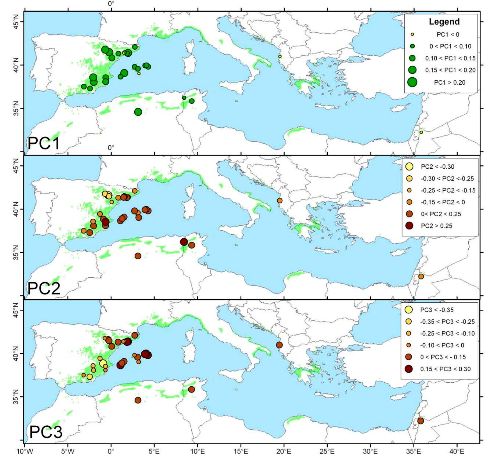Map showing the scores of the first three principal